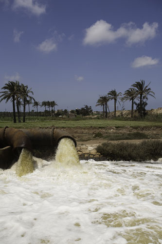 Nile Delta: Polluted waste water from agricultural drainage pumped into the a cana;