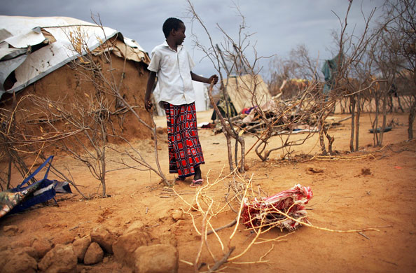 23 August 2009: Dadaab, Kenya: A child stands outside his home