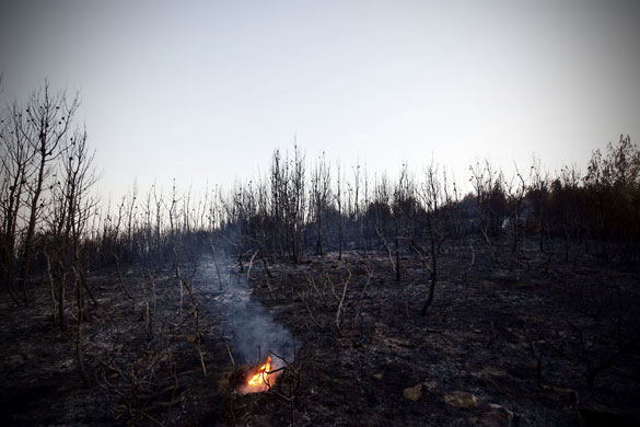 athens update: A fire burns in Marathonas