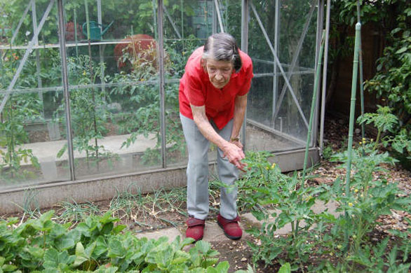 Age Concern Photography: An elderly woman tends to her growing vegetables