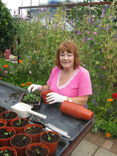 Age Concern Photography: A woman smiles as she plants seeds in a garden