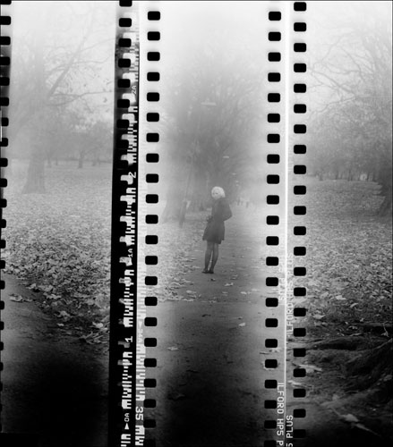 sean wakefield portfolio: sean wakefield portfolio