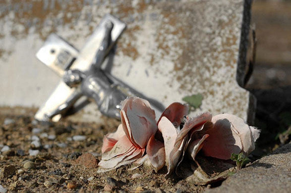 James Caws: The grass withers and the flowers fall