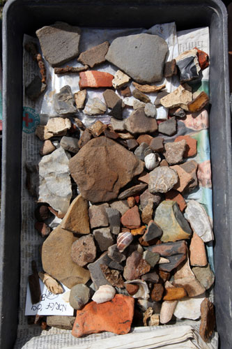 Summer digs: A tray of finds at the Mediaeval village in Norton, Hertfordshire.