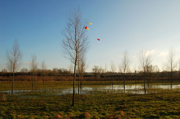 In Pictures Bank Holiday: Chris Welch