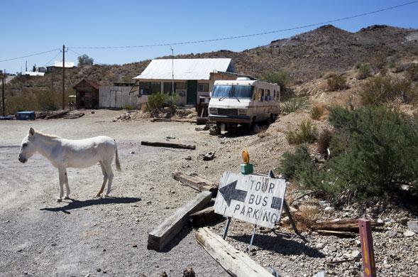 Route 66 Day 4: A donkey stands near a sign for tour bus parking in Oatman, Arizona