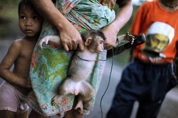 24 hours in pictures: Sarawak State, Malaysia: Boy hides behind his mother holding a pet monkey 