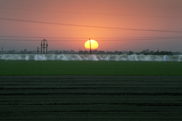 route 66 : Farming land near Weedpatch, Lamont, California