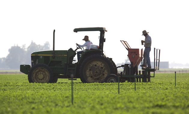route 66 : Farm workers in Lamont, California