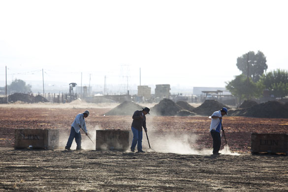 route 66 : Farm workers in Lamont, California