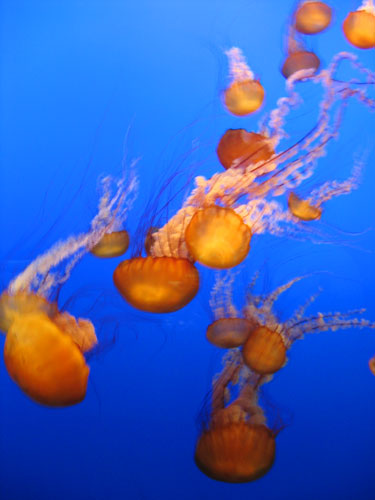 In Pictures: Swim: Sally Quigg