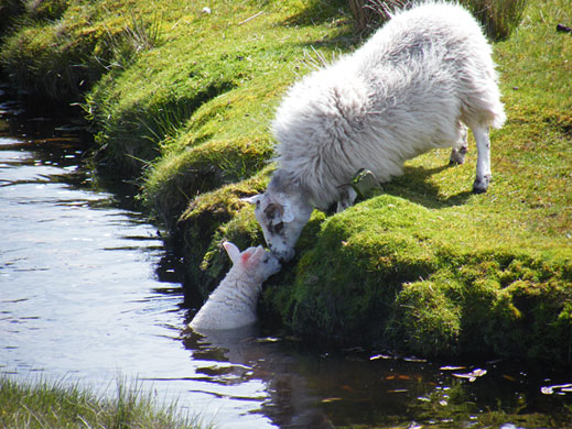 In Pictures: Swim: Ann Murdoch