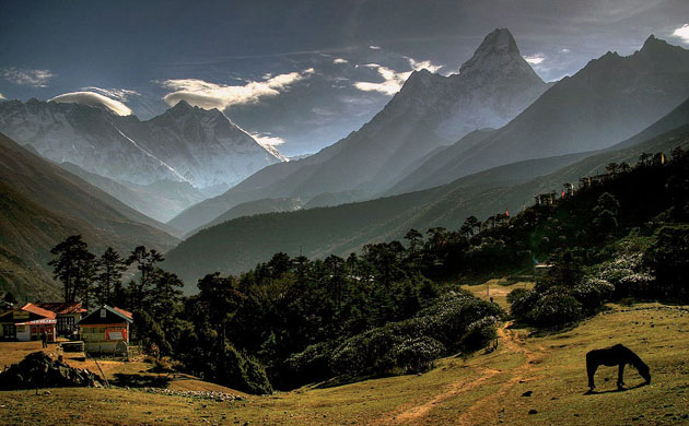 The Eastern Himalayas: New species discovered by WWF