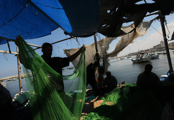 1 September 2009: Gaza City, Gaza: Palestinian fishermen prepare their nets at the port