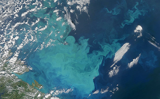 Satellite Eye on Earth: phytoplankton in waters of the Barents Sea, Russia