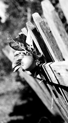 KK/ FR: Laura Phillips1: Laura Phillips1 folio review