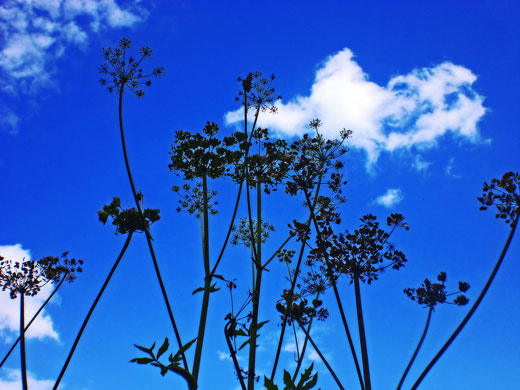 KK/ FR: Laura Phillips1: Laura Phillips1 folio review