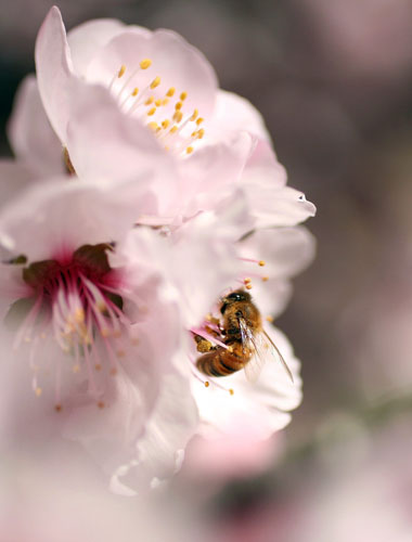 Week in Wildlife: First Day Of Spring Arrives In Australia
