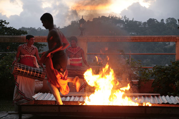 In Pictures: talent: Tina Buckley