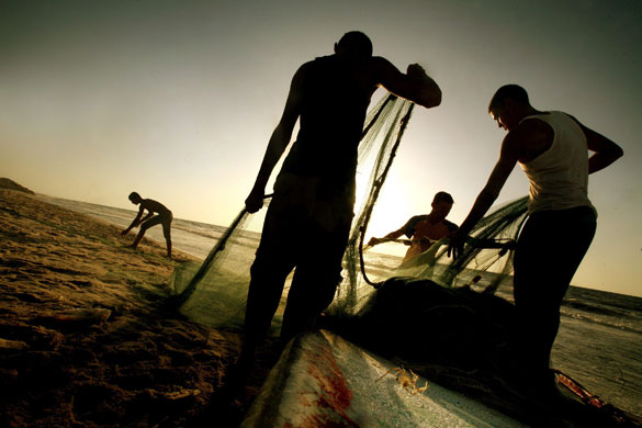 24 hours in pictures: Gaza City: Palestinian fishermen collect fish 