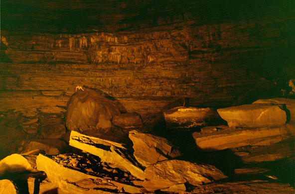 Ryan McGinley: Gold Breakdown (2009)