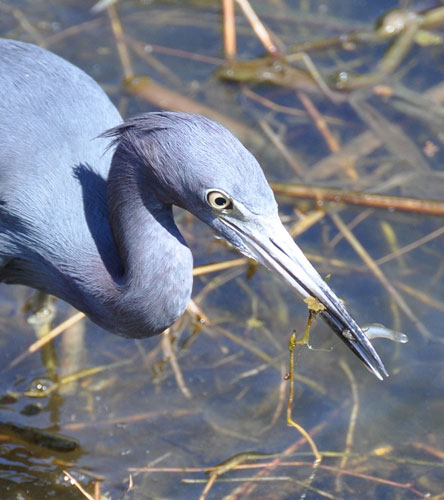 Photographic award : The Wilderness Society celebrates 45 years of the wilderness act