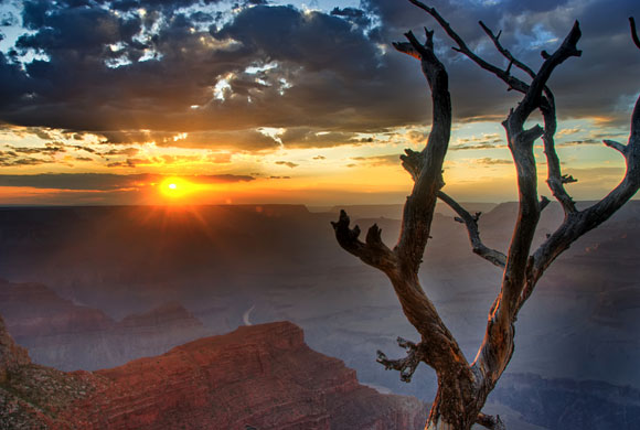 Photographic award : The Wilderness Society celebrates 45 years of the wilderness act