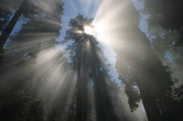 Photographic award : The Wilderness Society celebrates 45 years of the wilderness act
