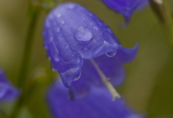 dan chung on nikon d5000: Dan Chung photos of Beijing with the new Nikon D5000 camera