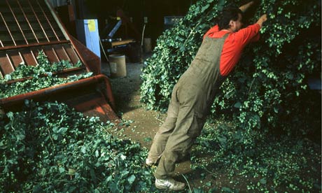 Blog Leo: Climate and  Czech pilsners beers