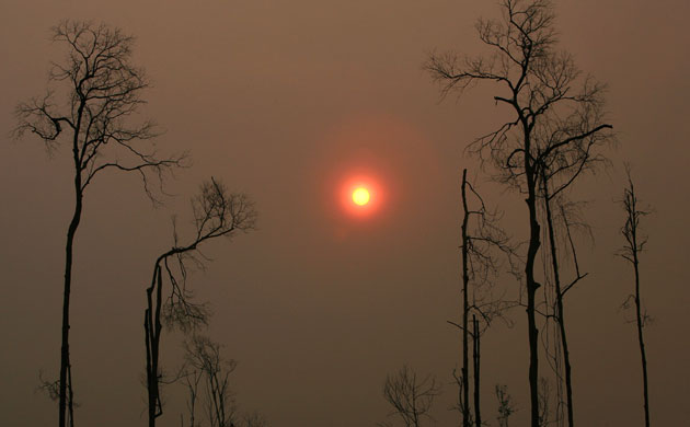 Deforestation in Sumatra: Indonesia , haze due to Forest Fires 