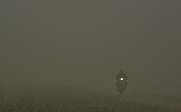 Deforestation in Sumatra: Indonesia , haze due to Forest Fires 