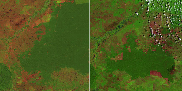 Deforestation in Sumatra: Satellitte view of Llowland, Indonesia