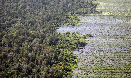 Sumatra Climate