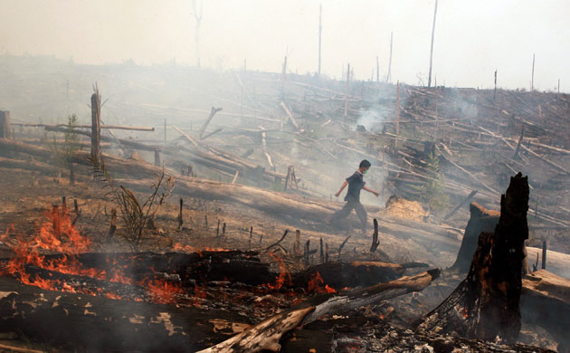 Deforestation On Sumatra Island