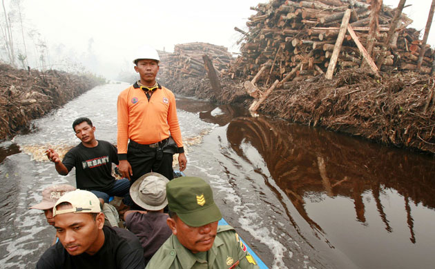 Deforestation on Sumatra: Firefighters patrol on boat in search of fires Indonesia, Riau province,