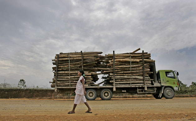 Deforestation on Sumatra: Indonesia, Riau province,