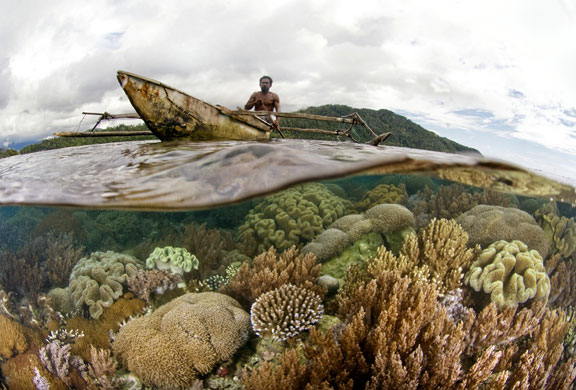 Eyewitness: A man patrols a coral reef in Birds Head, Raja Ampat, Indonesia. 