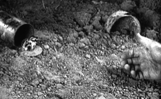 Stills Life: Paul Ross: All Quiet on the Western Front