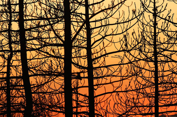 24 hours in pictures: station fire area in california 