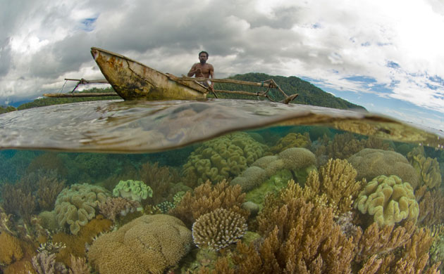 The Art of Thriving: Fisherman from island of Batanta, Raja Ampat, Indonesia
