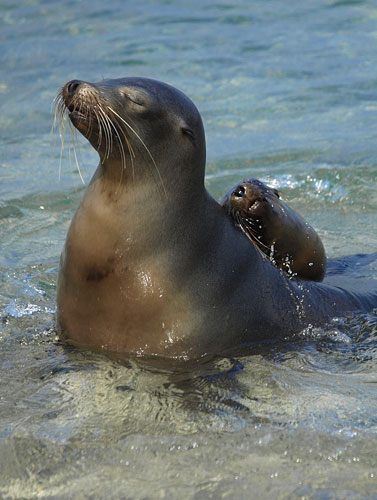 In Pictures: Nurture: Chris Pippard