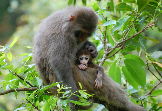 In Pictures: Nurture: Jon Roberts