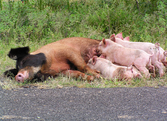 In Pictures: Nurture: Coleen Pope