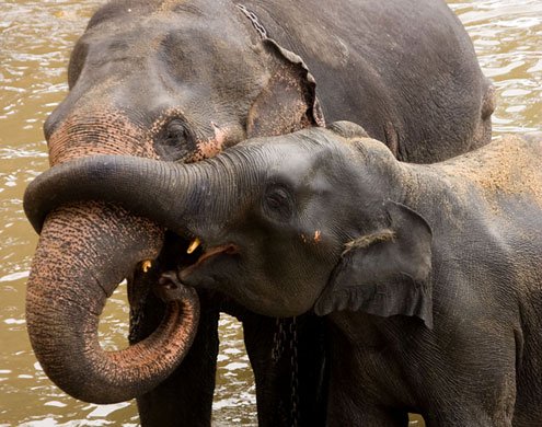 In Pictures: Nurture: Sally Baitch