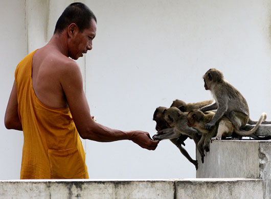 In Pictures: Nurture: Richard Gatward