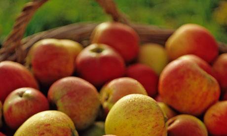 Apples in basket