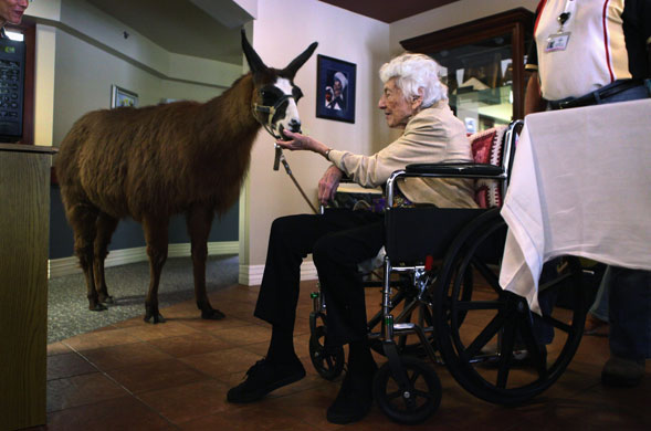 24 hours: hospice cares for terminally ill in usa