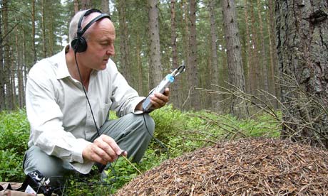 Chris Watson recording ants