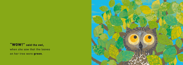 Early Years books: WOW! Said the Owl by Tim Hopgood